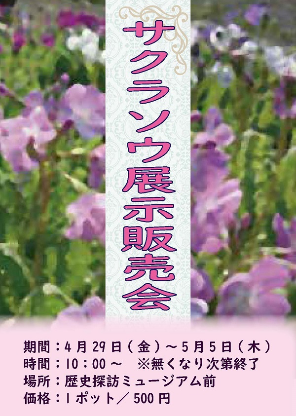 サクラソウの展示販売会